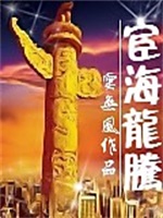 宦海龙腾