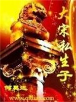 大宋私生子