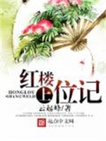 红楼上位记