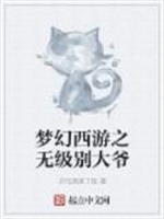 梦幻西游之无级别大爷