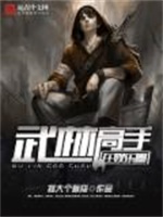 武林高手在娱乐圈