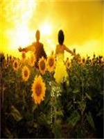 蜜宠婚成：求娶失忆小甜妻