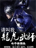 请叫我龙虎武师