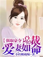 强取豪夺：总裁爱妻如命
