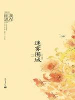 迷雾围城（人生若如初相见）