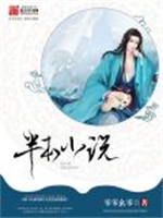 半本小说