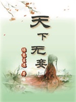 天下无妾