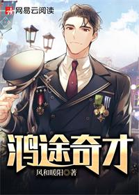 官场奇才（鸿途奇才陆羽刘云峰）