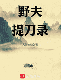 野夫提刀录