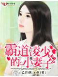 霸道凌少的小妻子