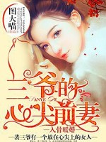 入骨暖婚：三爷的心尖前妻