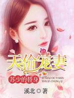 苏少的替身天价宠妻