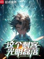 这个刺客光明磊落